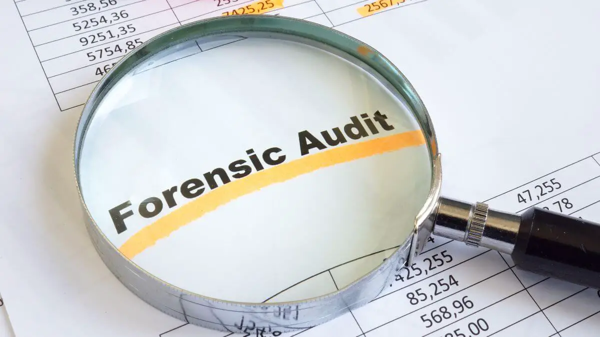 forensic accountants in demand